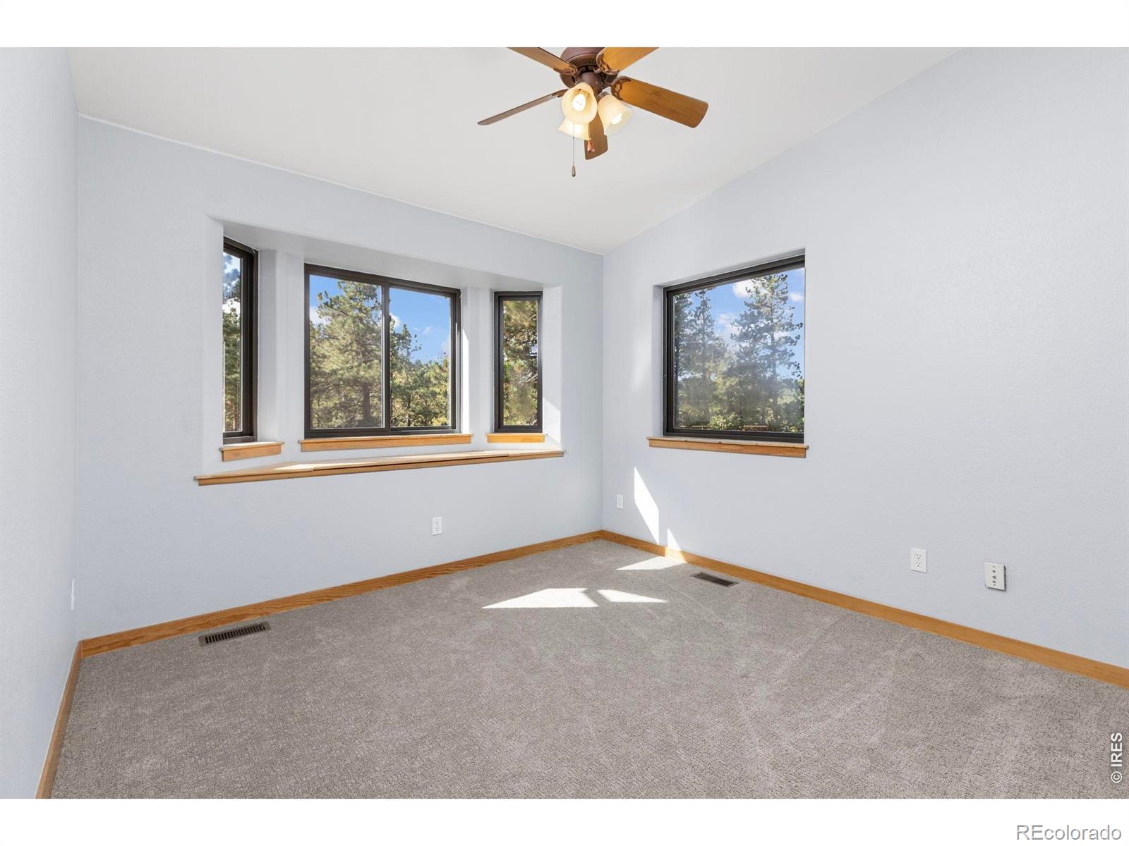 MLS Image #32 for 401  shady hollow,nederland, Colorado
