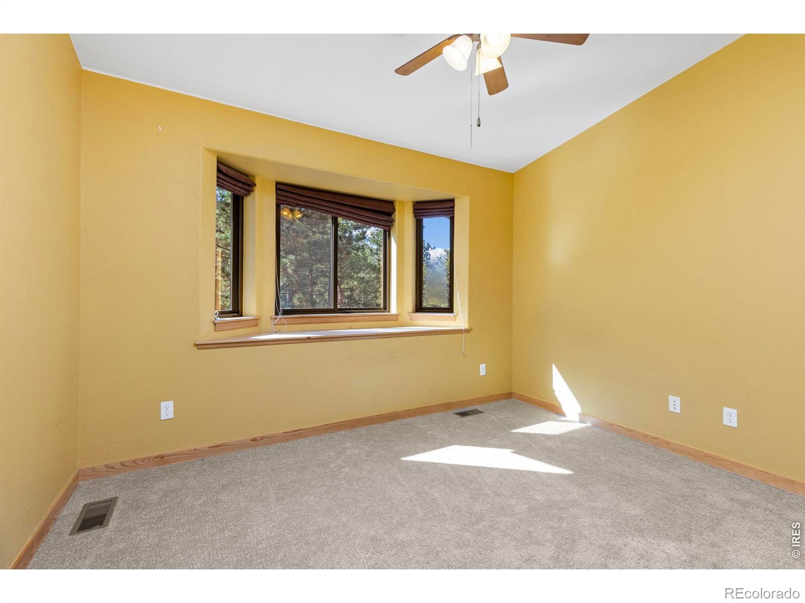 MLS Image #34 for 401  shady hollow,nederland, Colorado