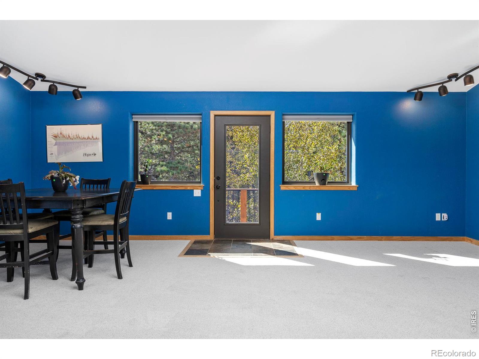 MLS Image #36 for 401  shady hollow,nederland, Colorado