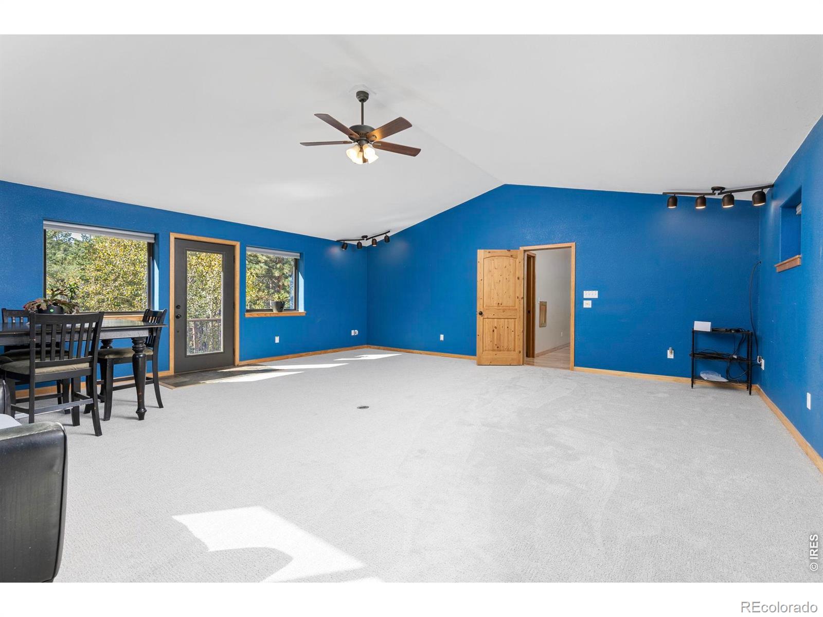 MLS Image #37 for 401  shady hollow,nederland, Colorado