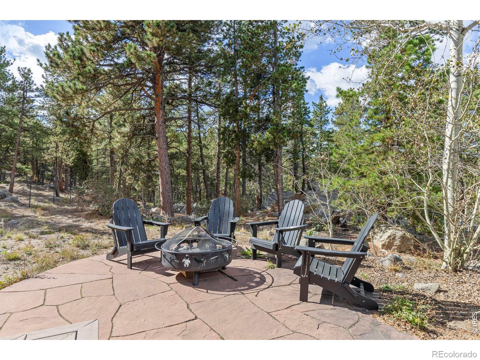 MLS Image #42 for 401  shady hollow,nederland, Colorado