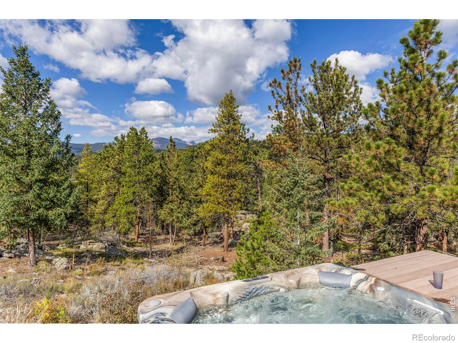 MLS Image #45 for 401  shady hollow,nederland, Colorado