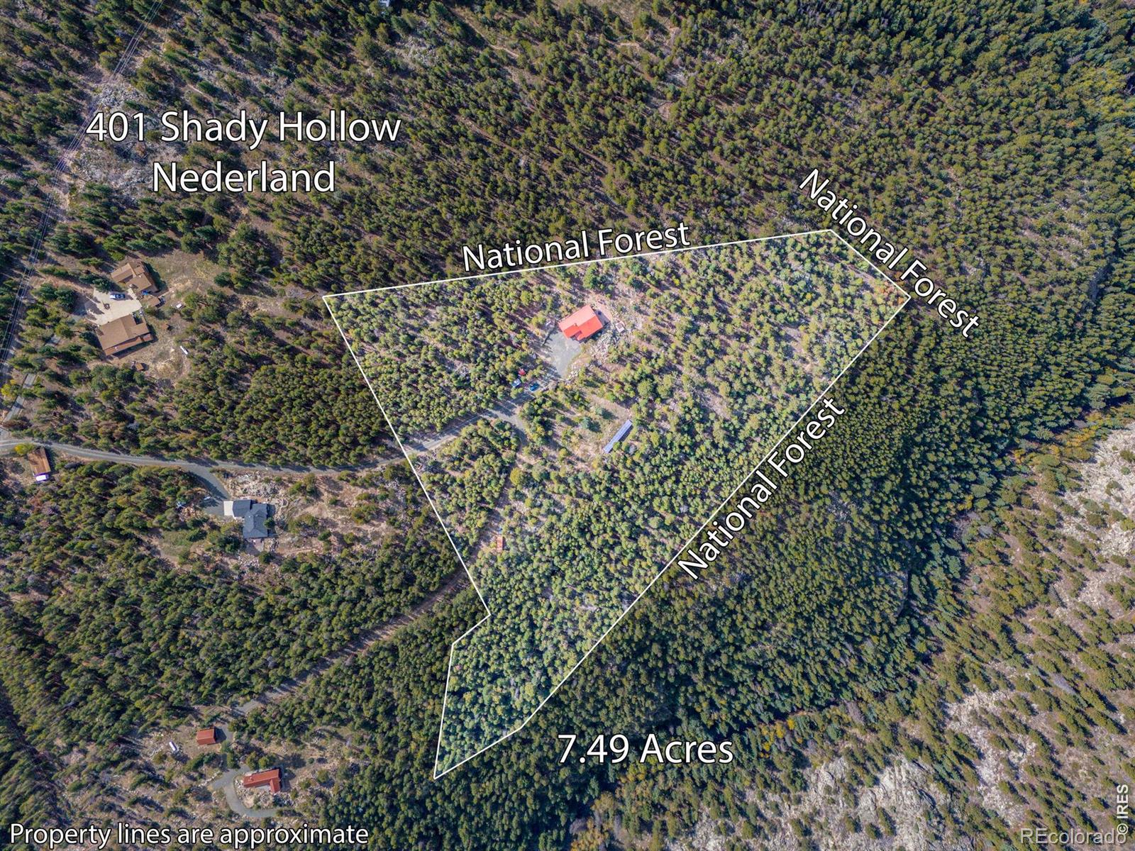 MLS Image #7 for 401  shady hollow,nederland, Colorado