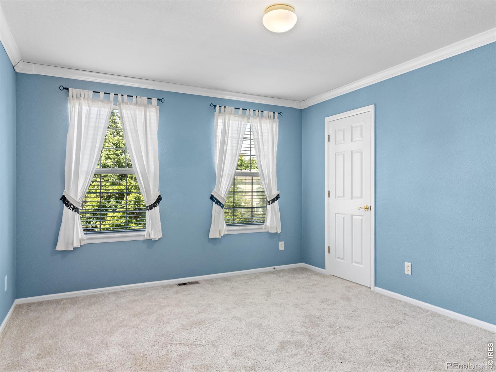 MLS Image #17 for 1586  goshawk drive,longmont, Colorado