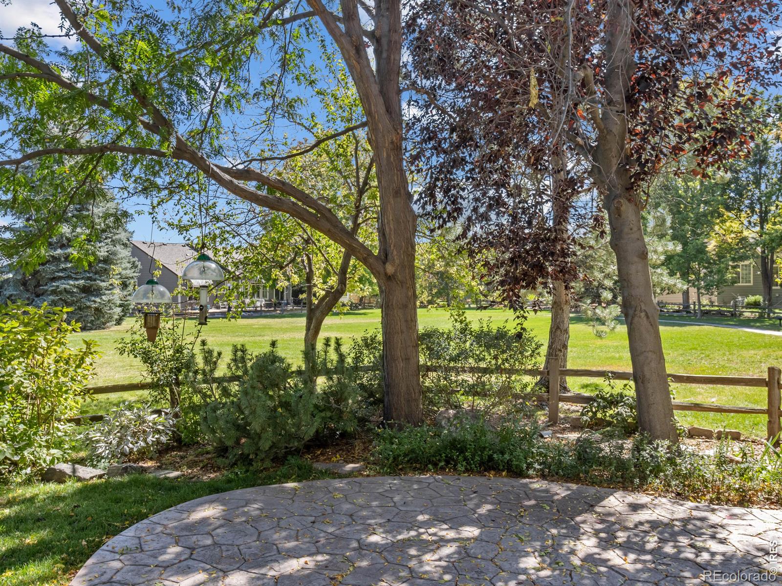 MLS Image #22 for 1586  goshawk drive,longmont, Colorado