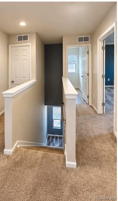 MLS Image #6 for 4481  telluride court,denver, Colorado