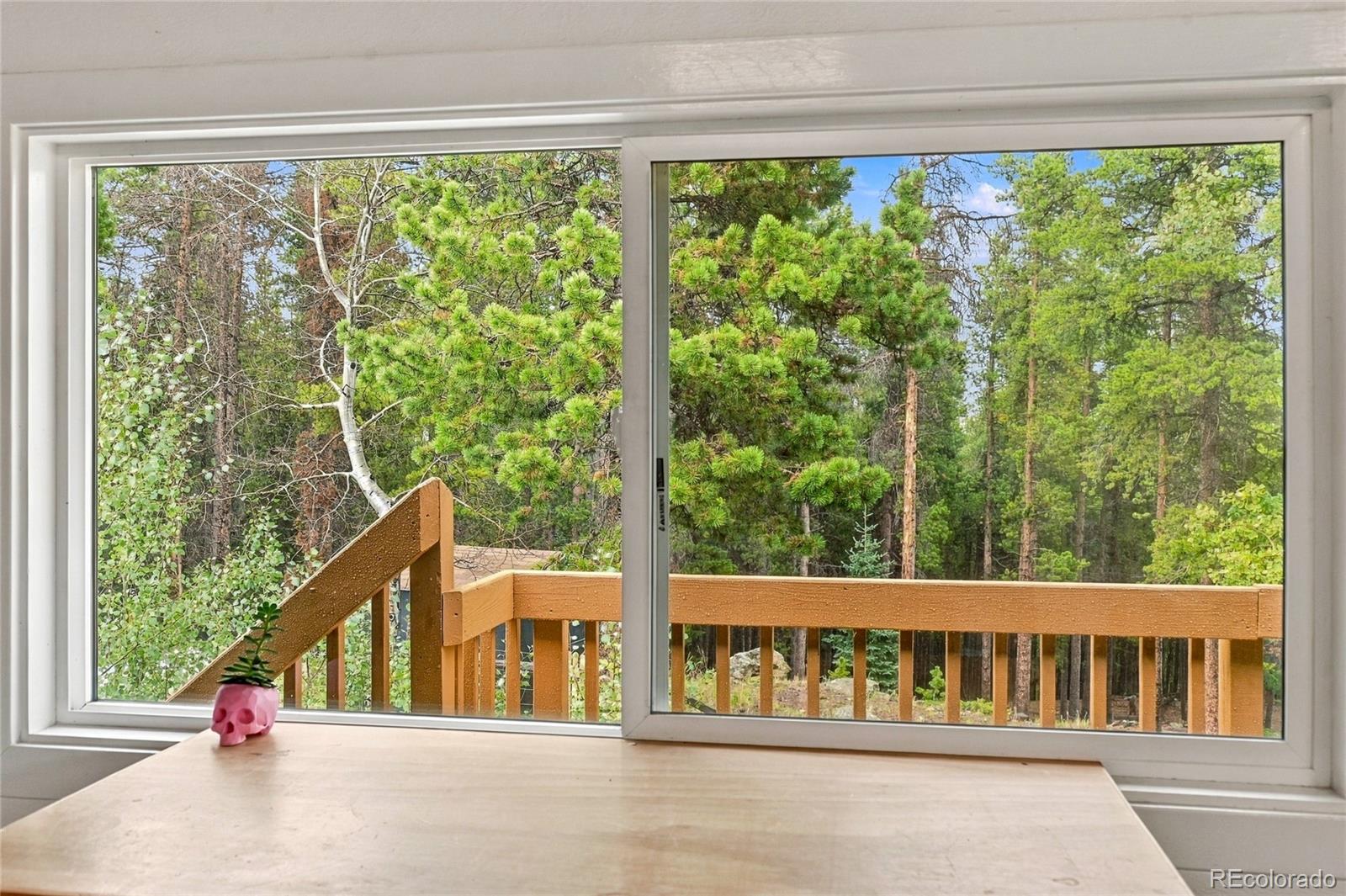 MLS Image #10 for 889  lodgepole drive,evergreen, Colorado