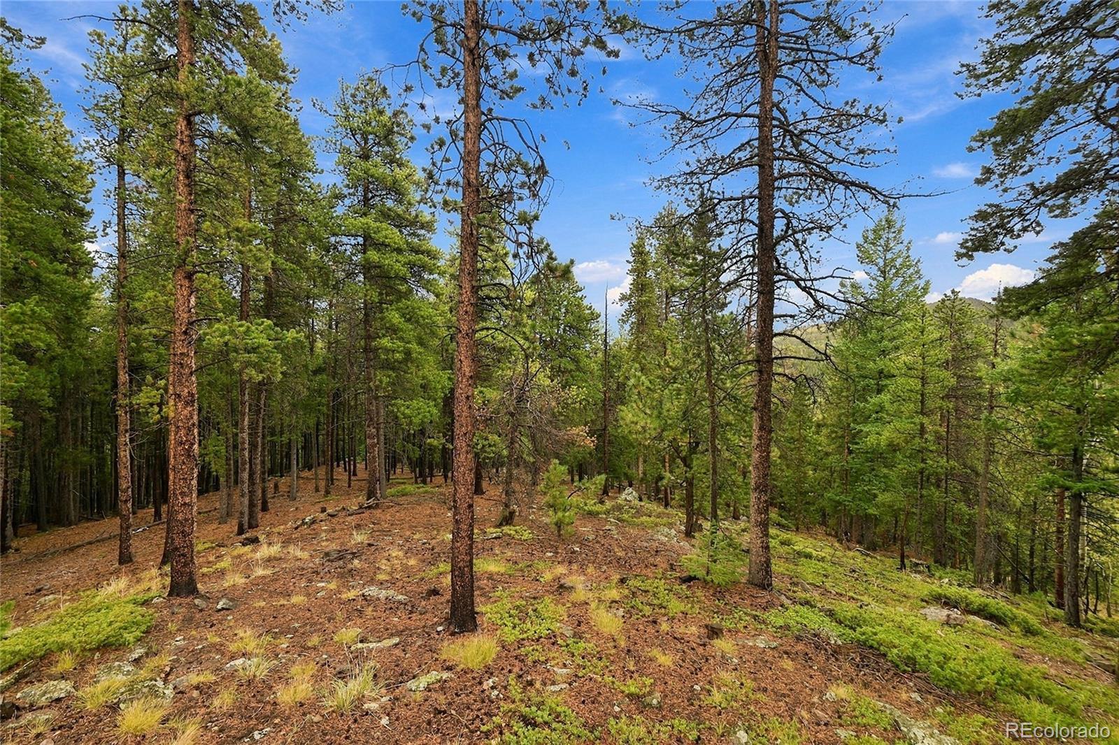 MLS Image #21 for 889  lodgepole drive,evergreen, Colorado