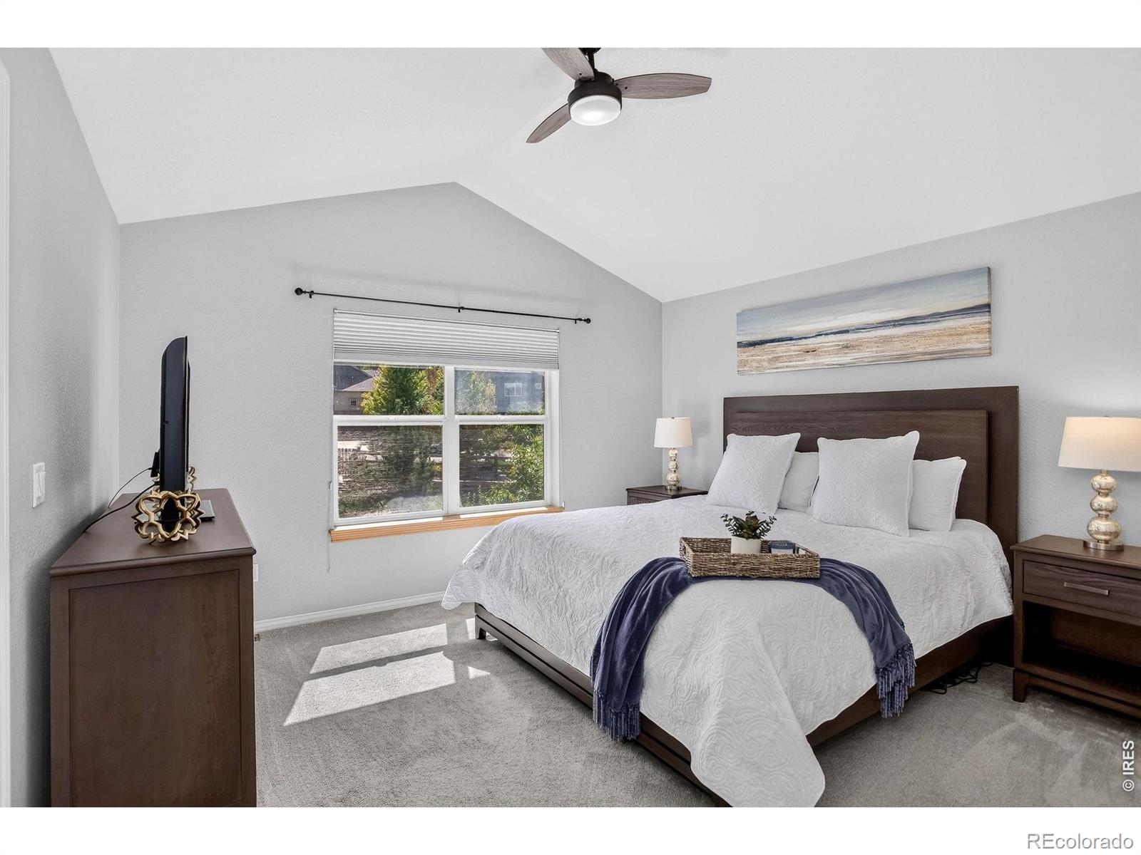 MLS Image #18 for 103  bohn court,lyons, Colorado