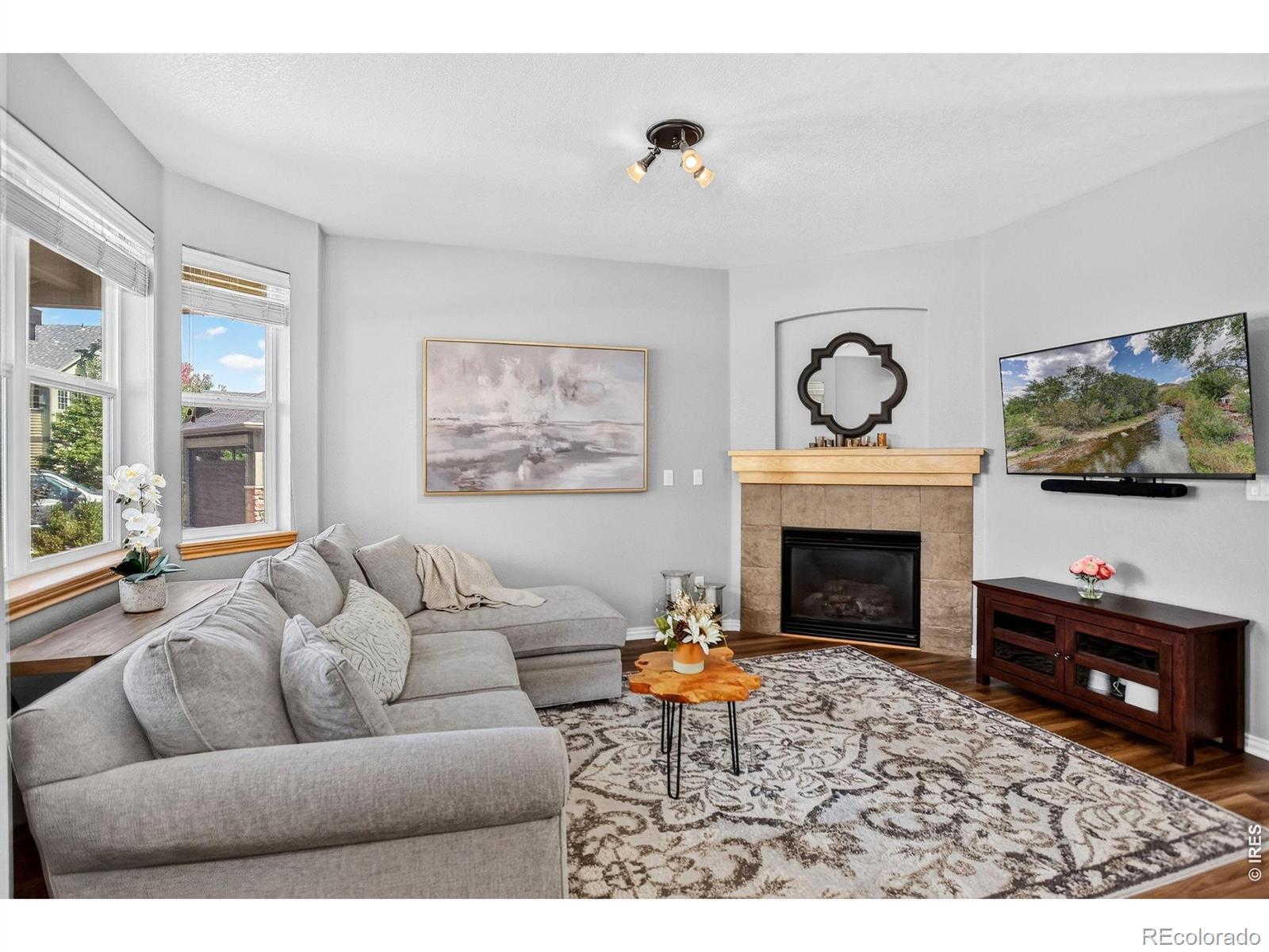 MLS Image #5 for 103  bohn court,lyons, Colorado