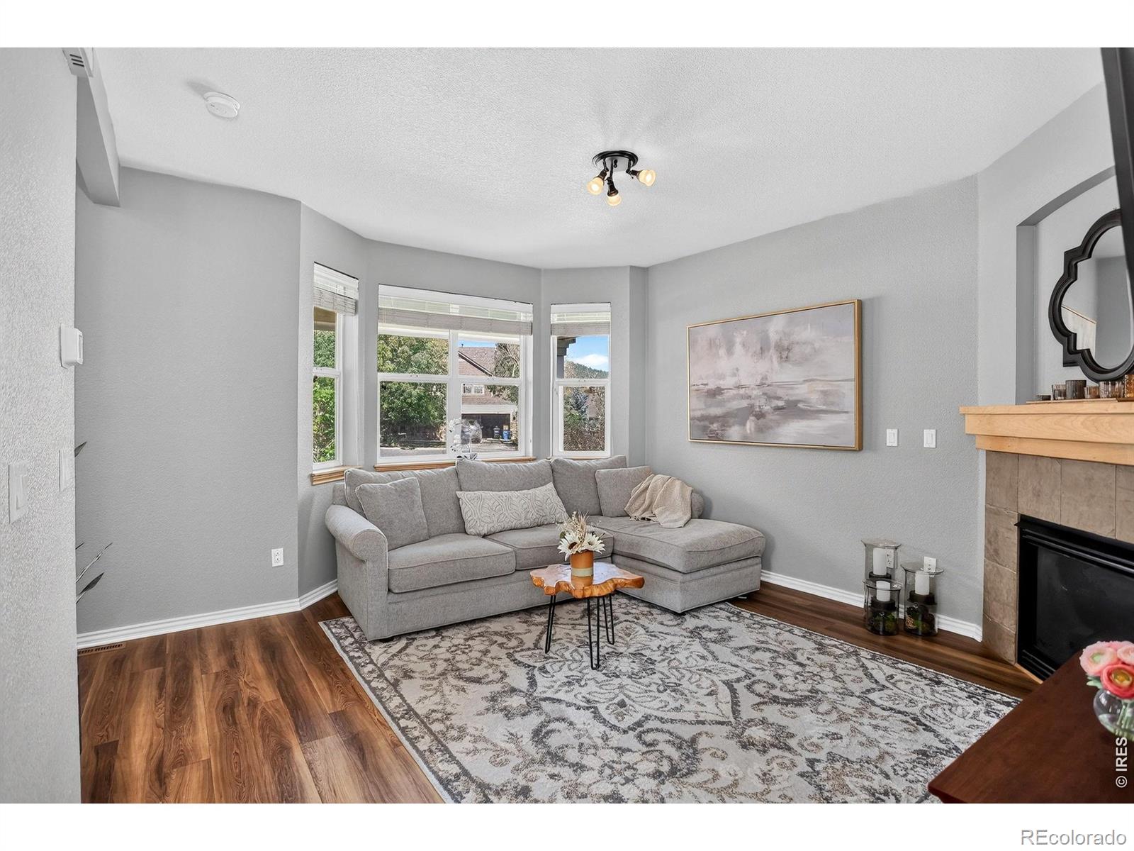 MLS Image #6 for 103  bohn court,lyons, Colorado