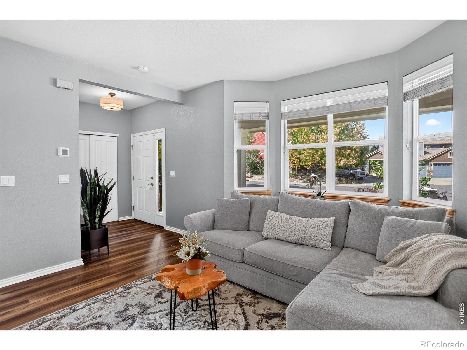 MLS Image #8 for 103  bohn court,lyons, Colorado