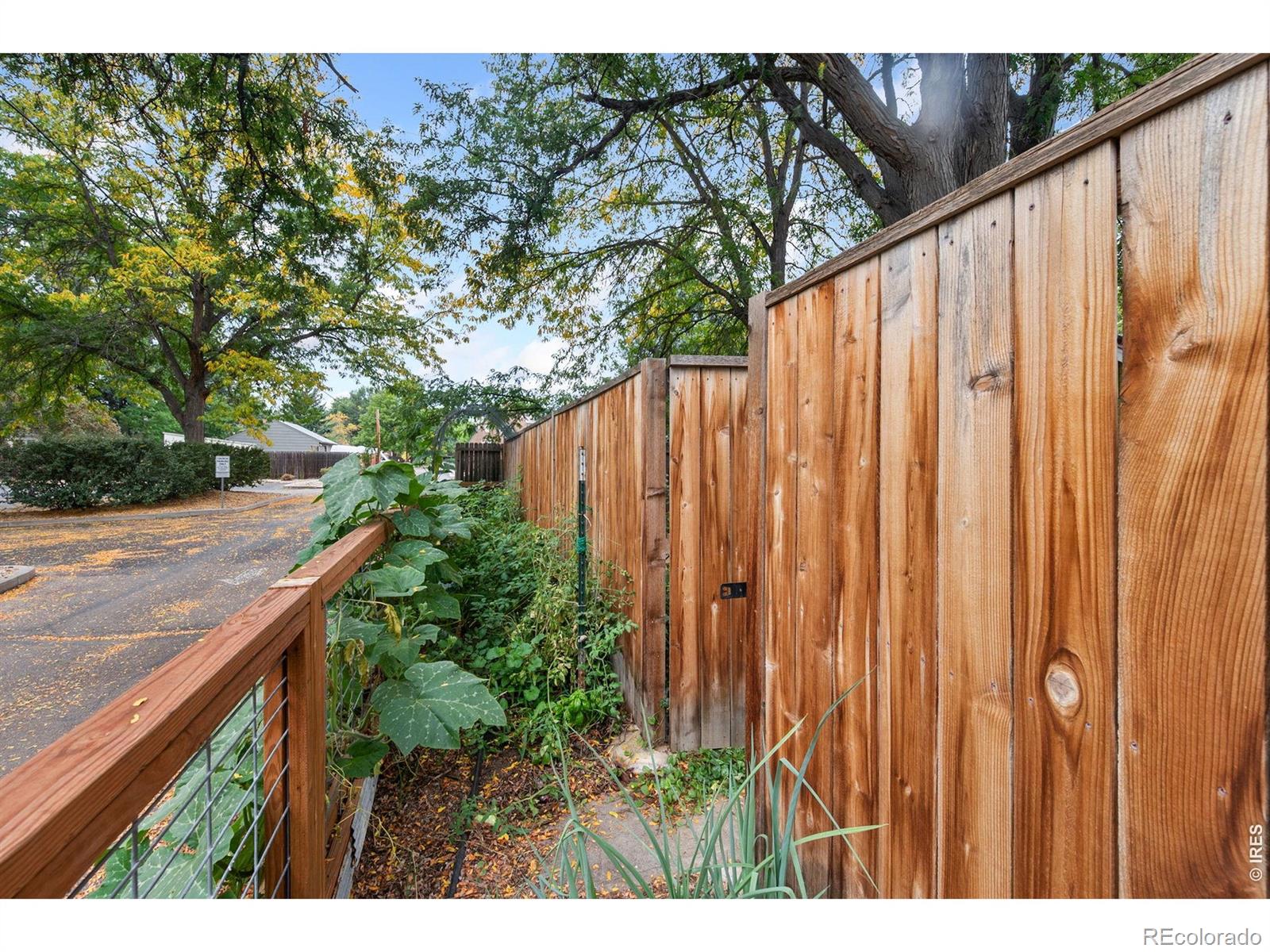 MLS Image #40 for 329 e elizabeth street,fort collins, Colorado
