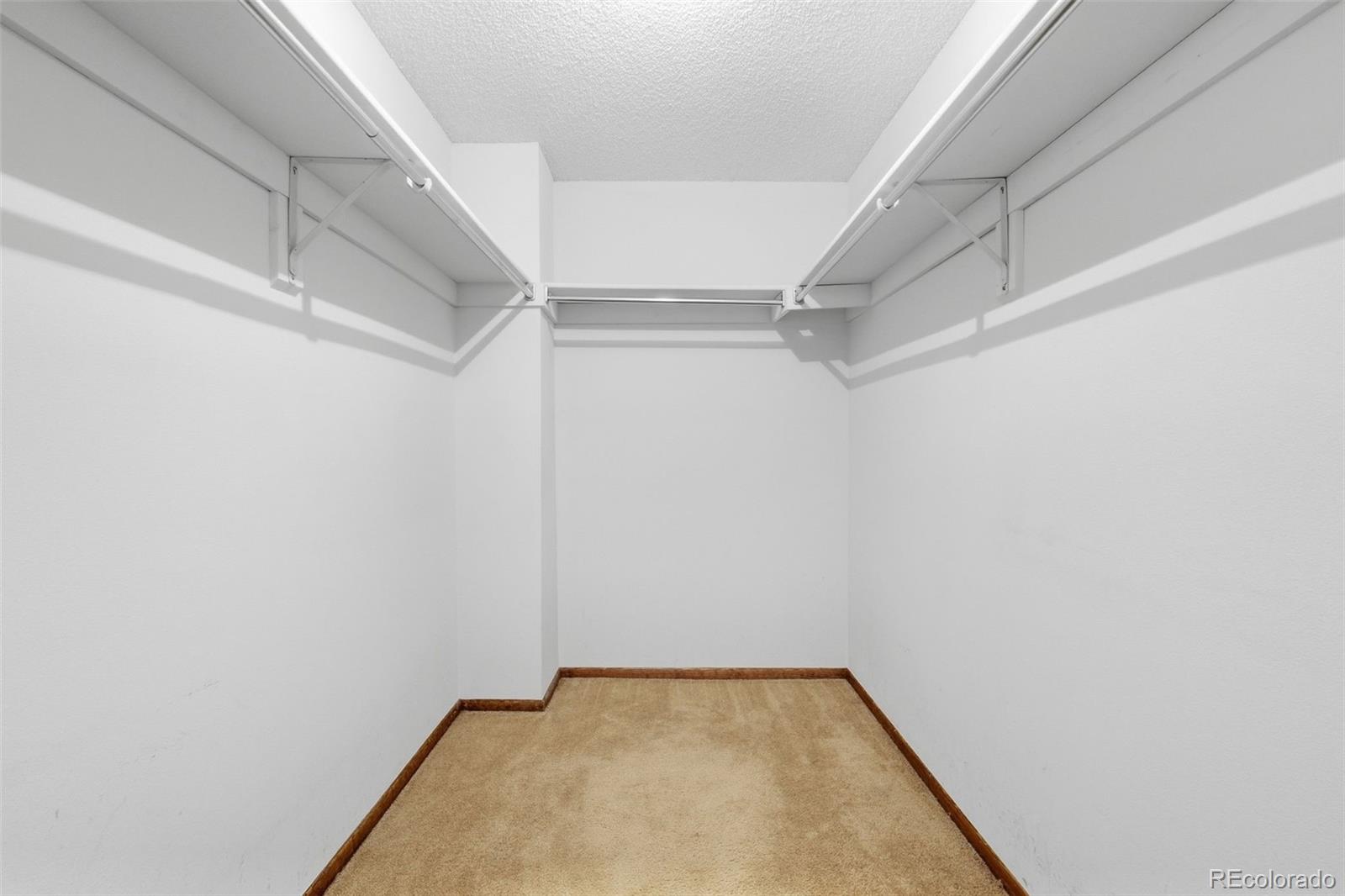 MLS Image #17 for 11818  elk head range road,littleton, Colorado