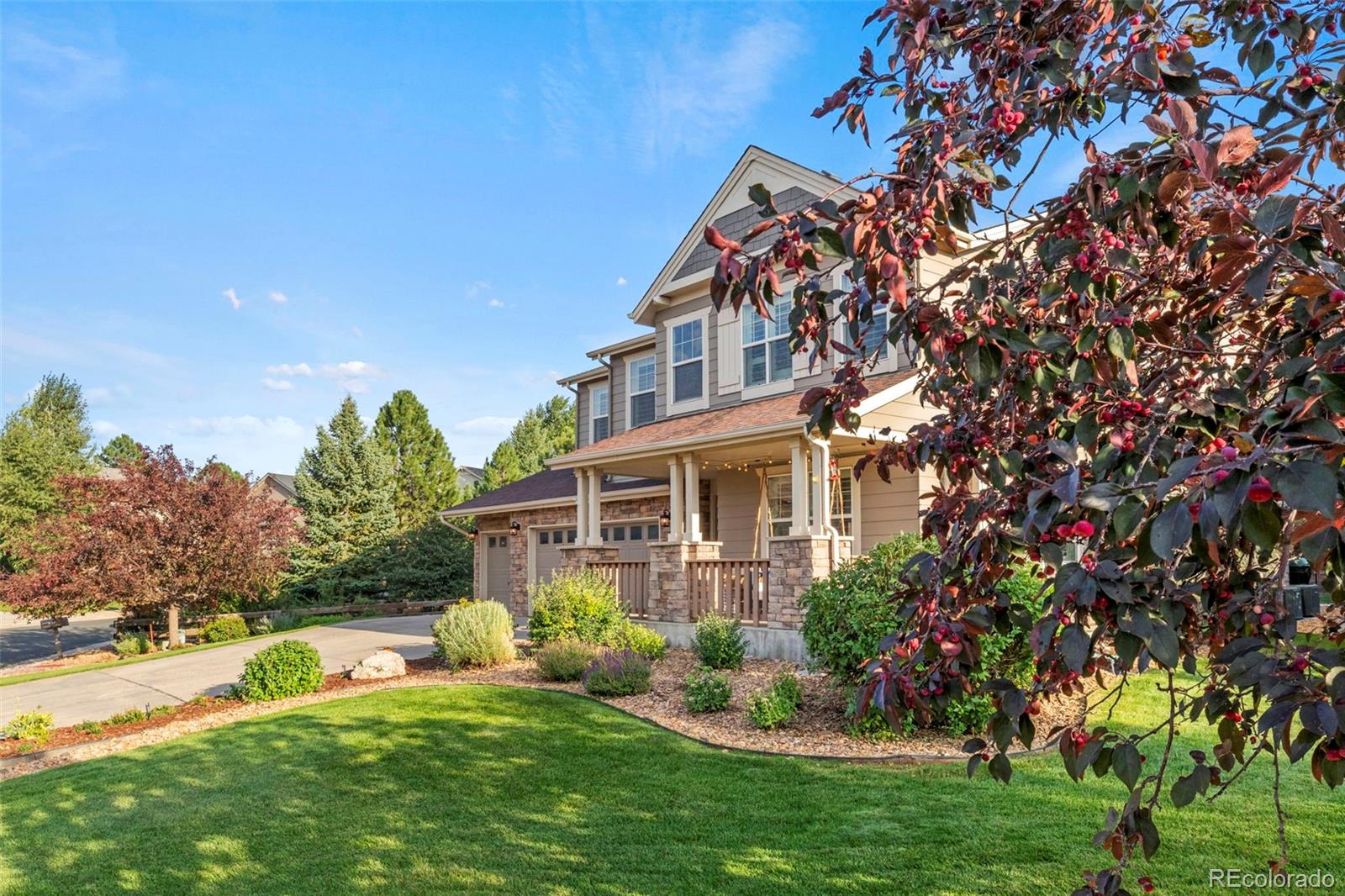 MLS Image #3 for 2384  crestridge drive,castle rock, Colorado