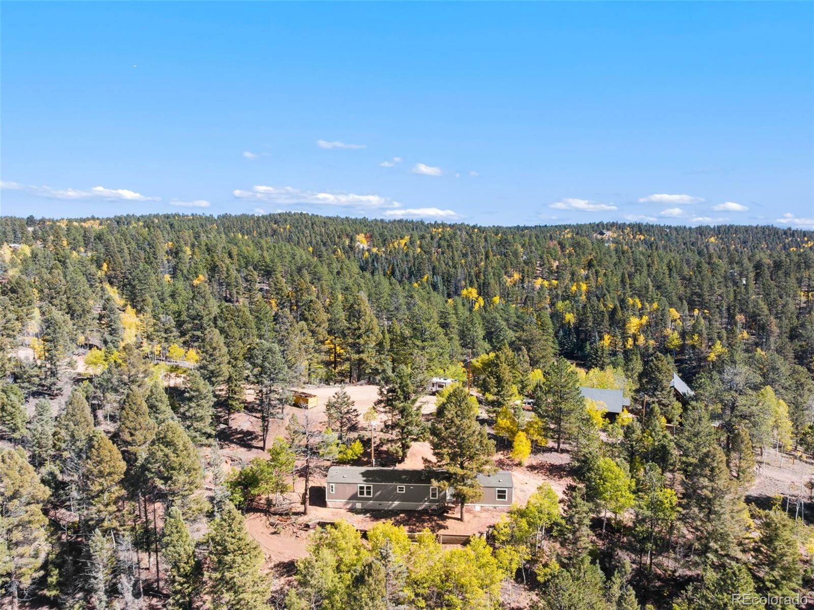 MLS Image #1 for 695  elk creek drive,divide, Colorado