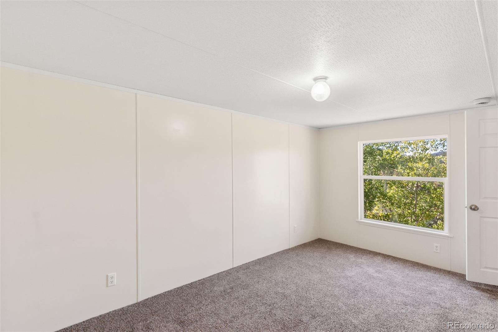 MLS Image #15 for 695  elk creek drive,divide, Colorado