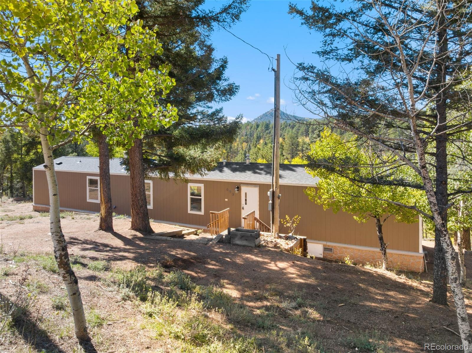 MLS Image #21 for 695  elk creek drive,divide, Colorado