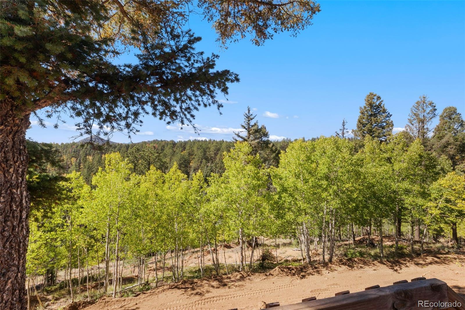 MLS Image #27 for 695  elk creek drive,divide, Colorado