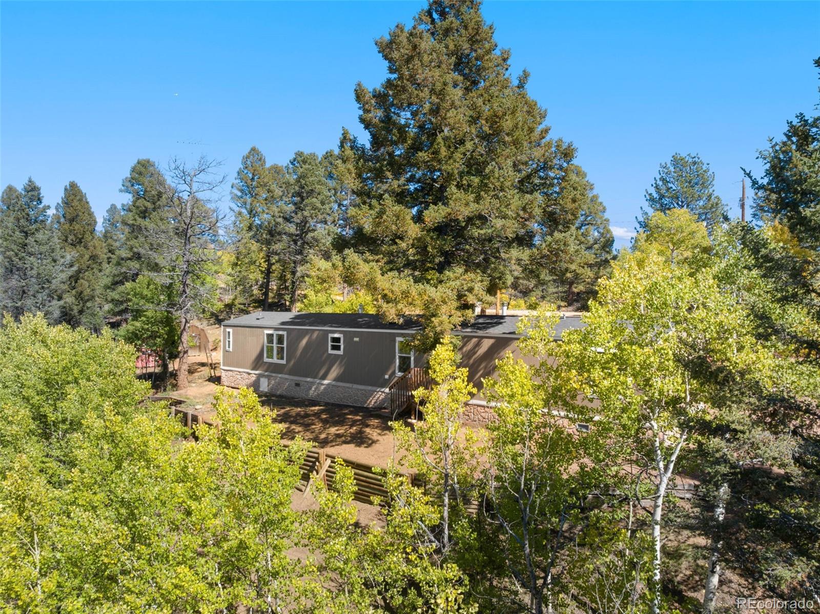 MLS Image #3 for 695  elk creek drive,divide, Colorado