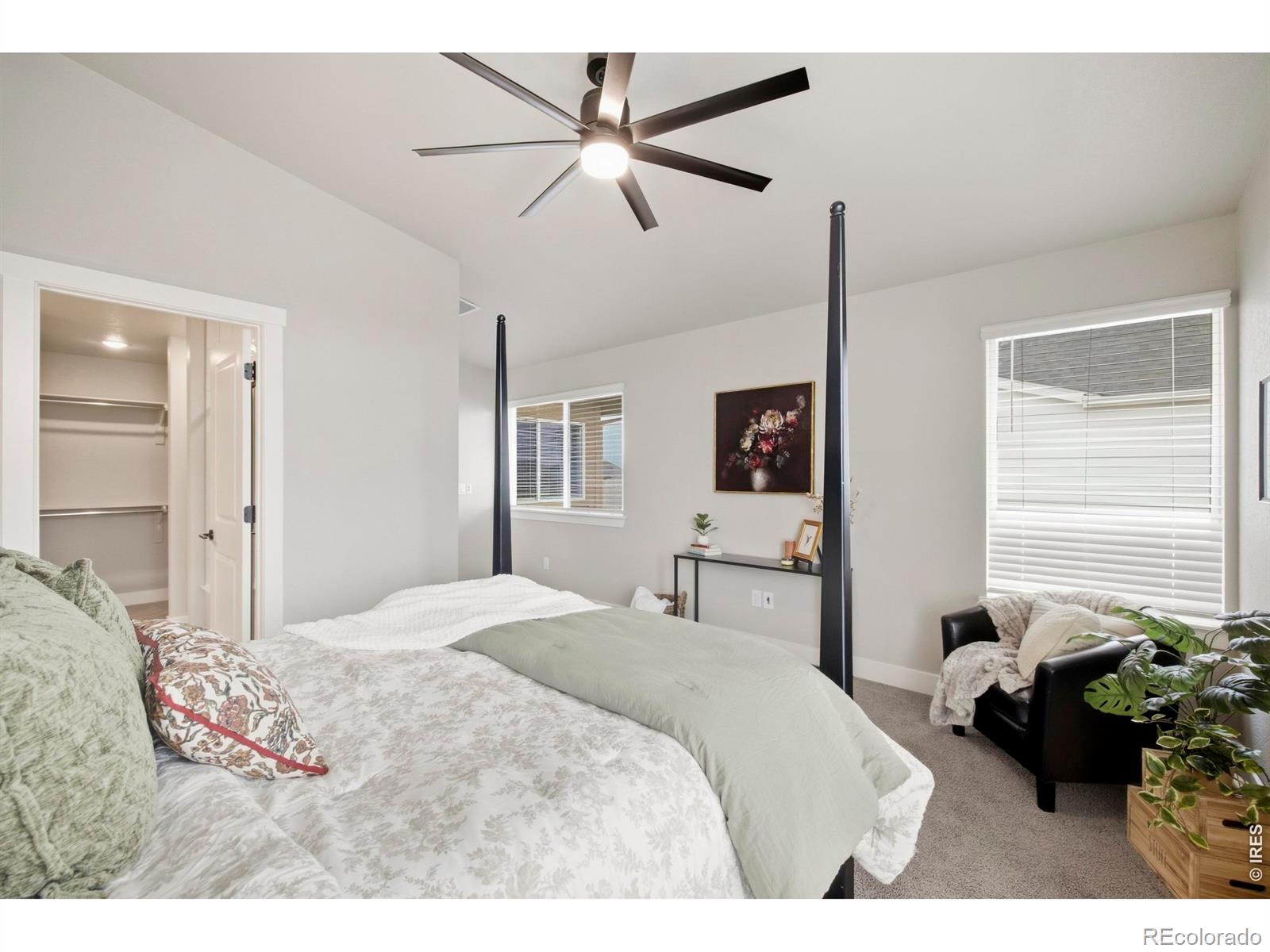 MLS Image #14 for 6025  denys drive,timnath, Colorado