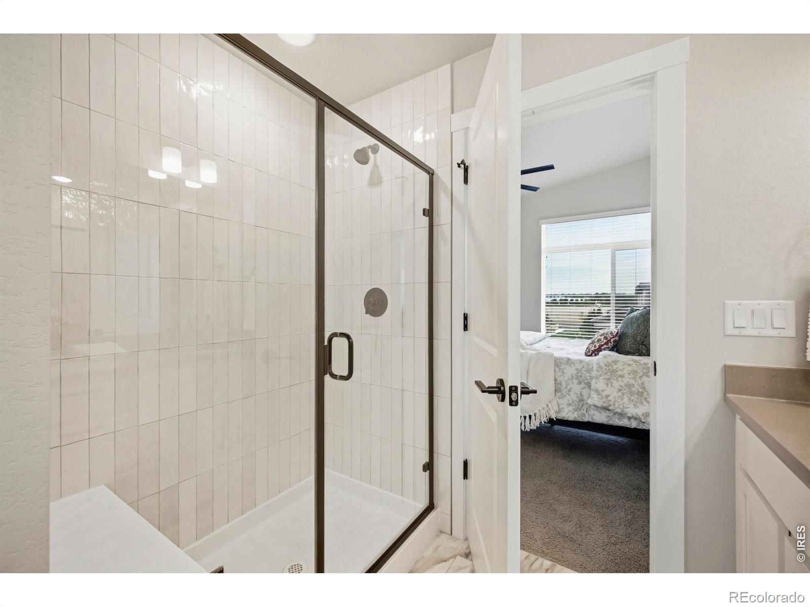 MLS Image #17 for 6025  denys drive,timnath, Colorado