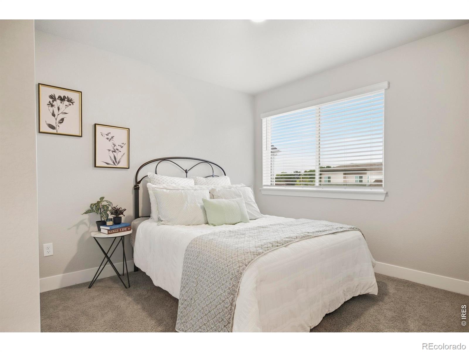 MLS Image #18 for 6025  denys drive,timnath, Colorado