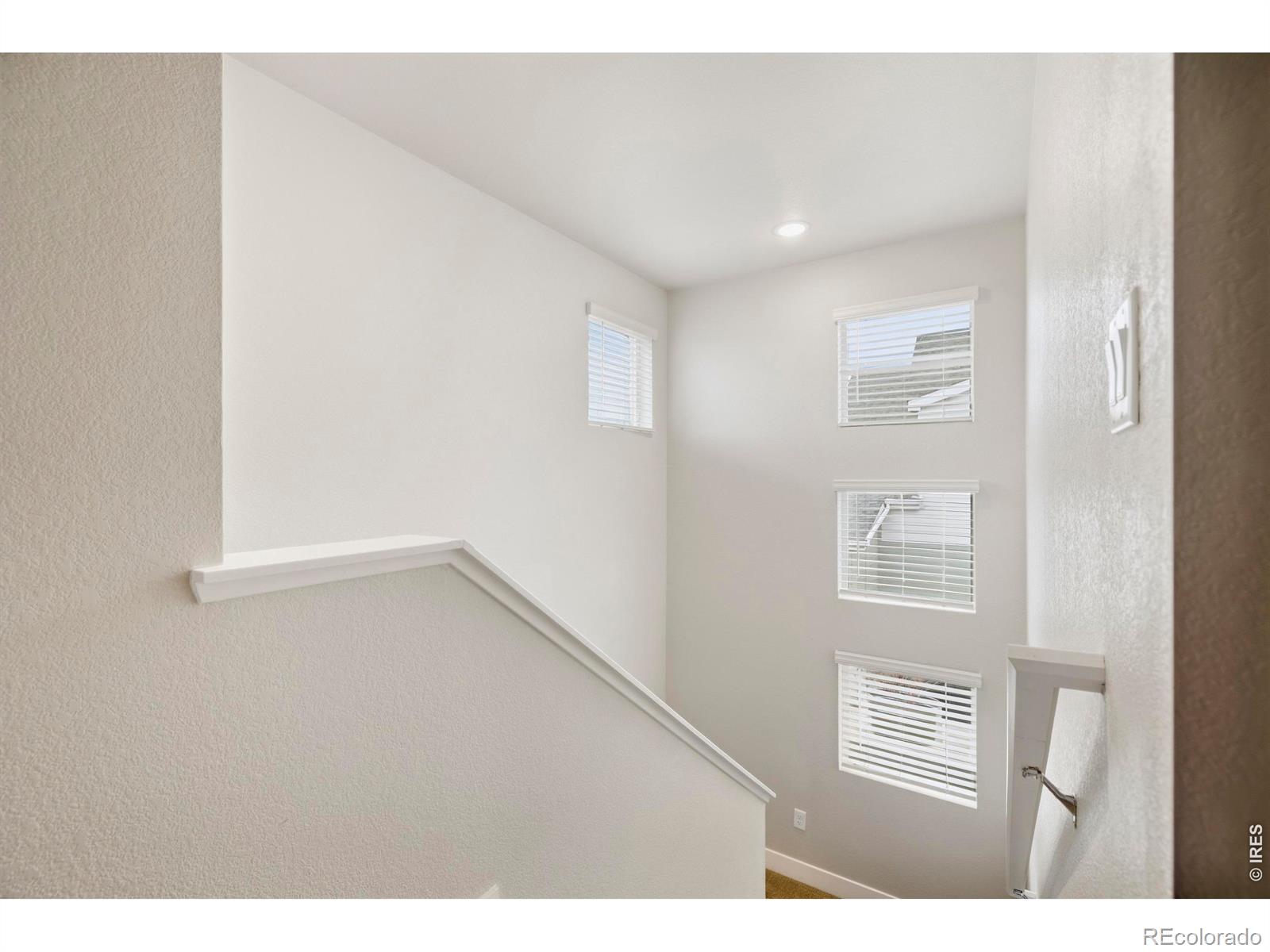 MLS Image #20 for 6025  denys drive,timnath, Colorado