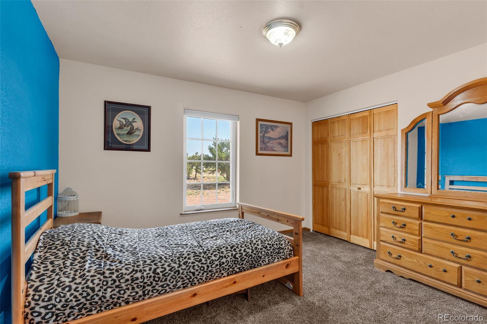 MLS Image #4 for 1407  top notch trail,penrose, Colorado