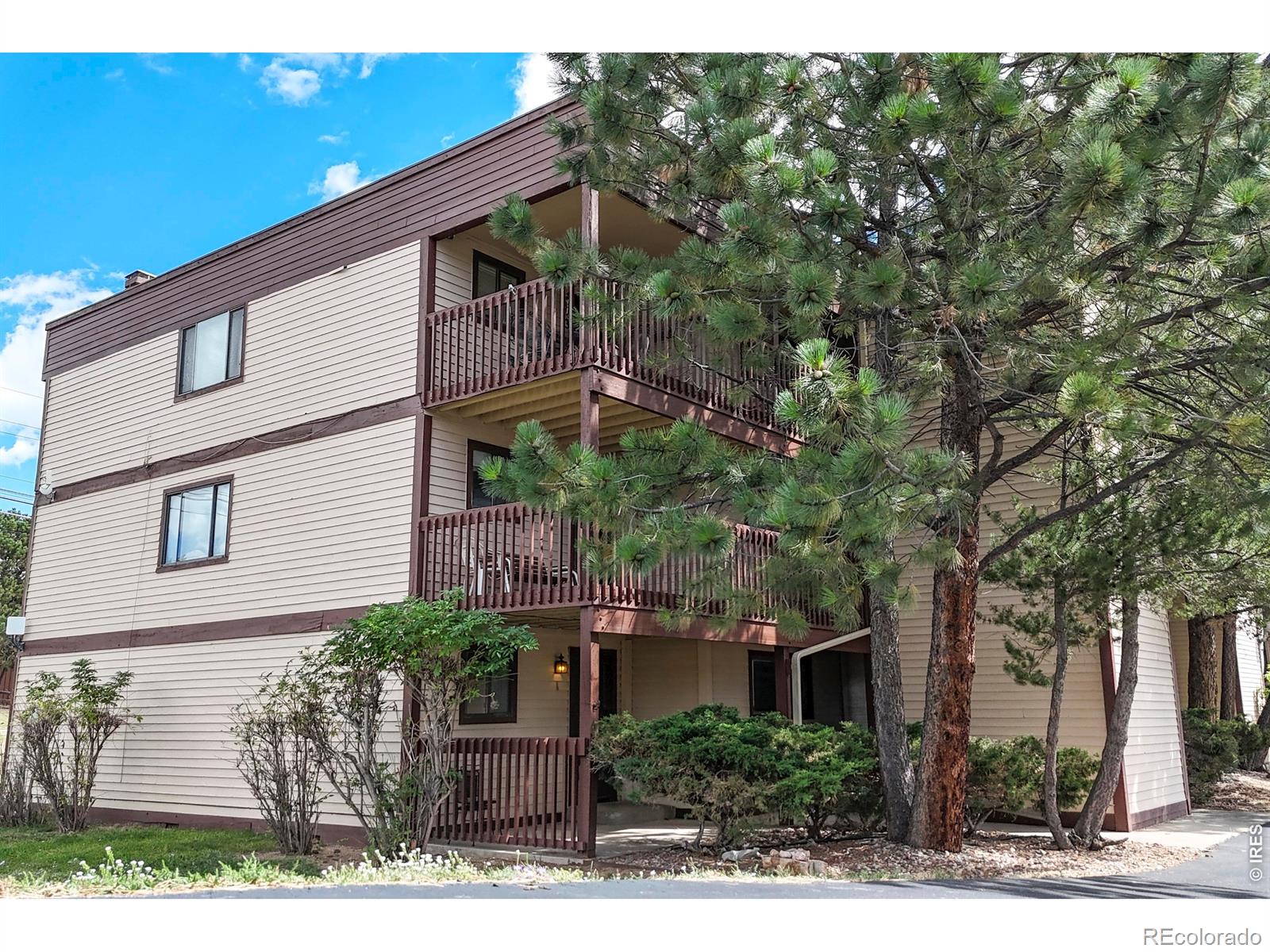 MLS Image #9 for 1730  raven avenue,estes park, Colorado