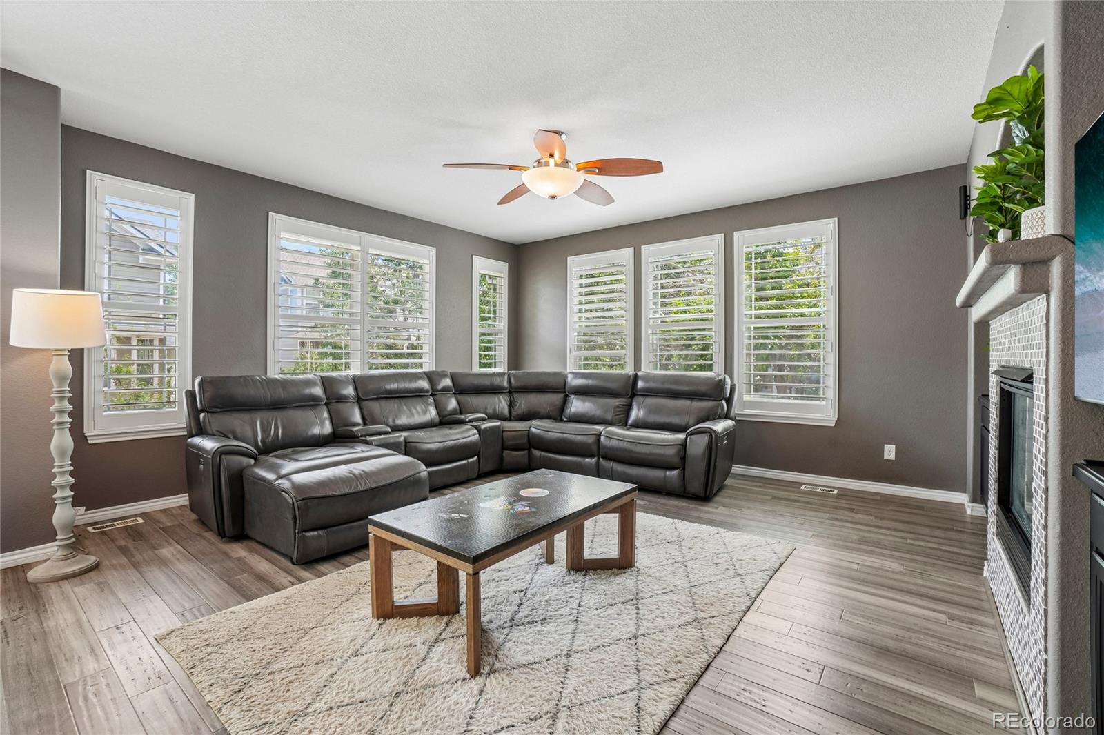 MLS Image #2 for 905  lasnik street,erie, Colorado