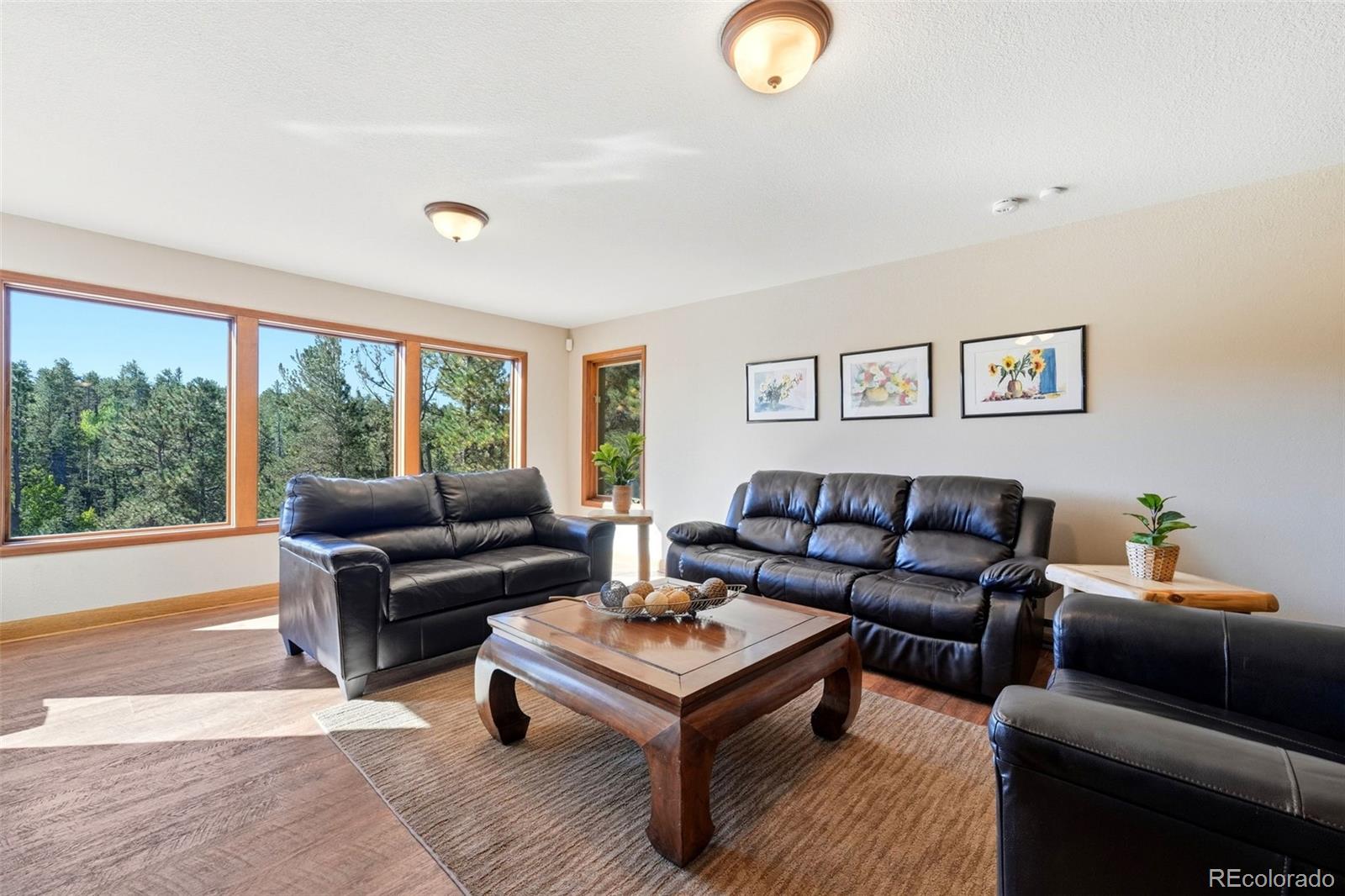 MLS Image #24 for 1509  county road 25 ,divide, Colorado