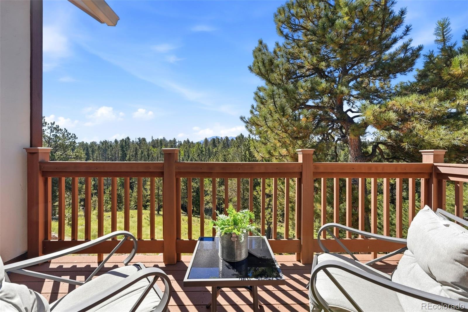 MLS Image #37 for 1509  county road 25 ,divide, Colorado