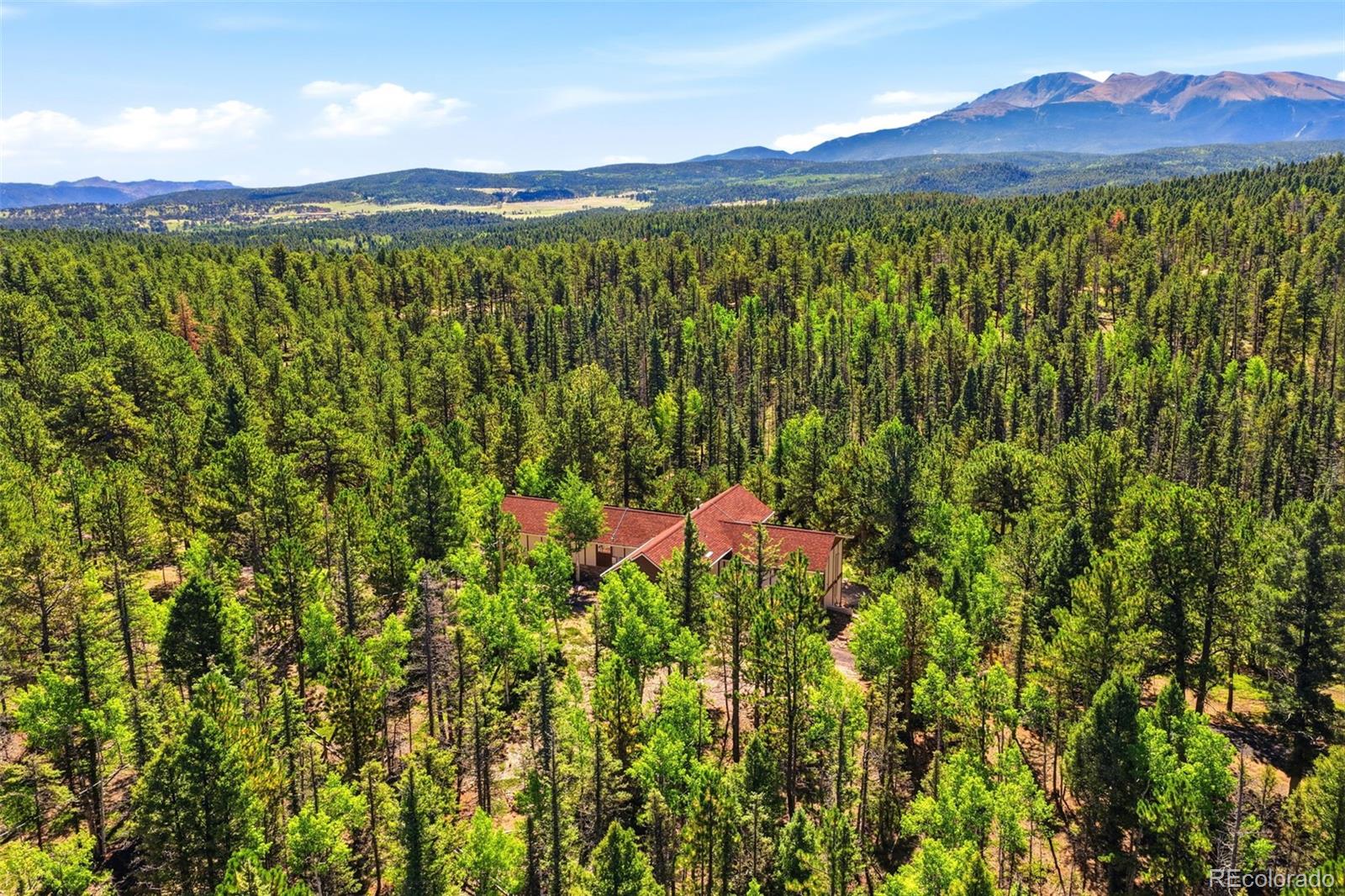 MLS Image #42 for 1509  county road 25 ,divide, Colorado