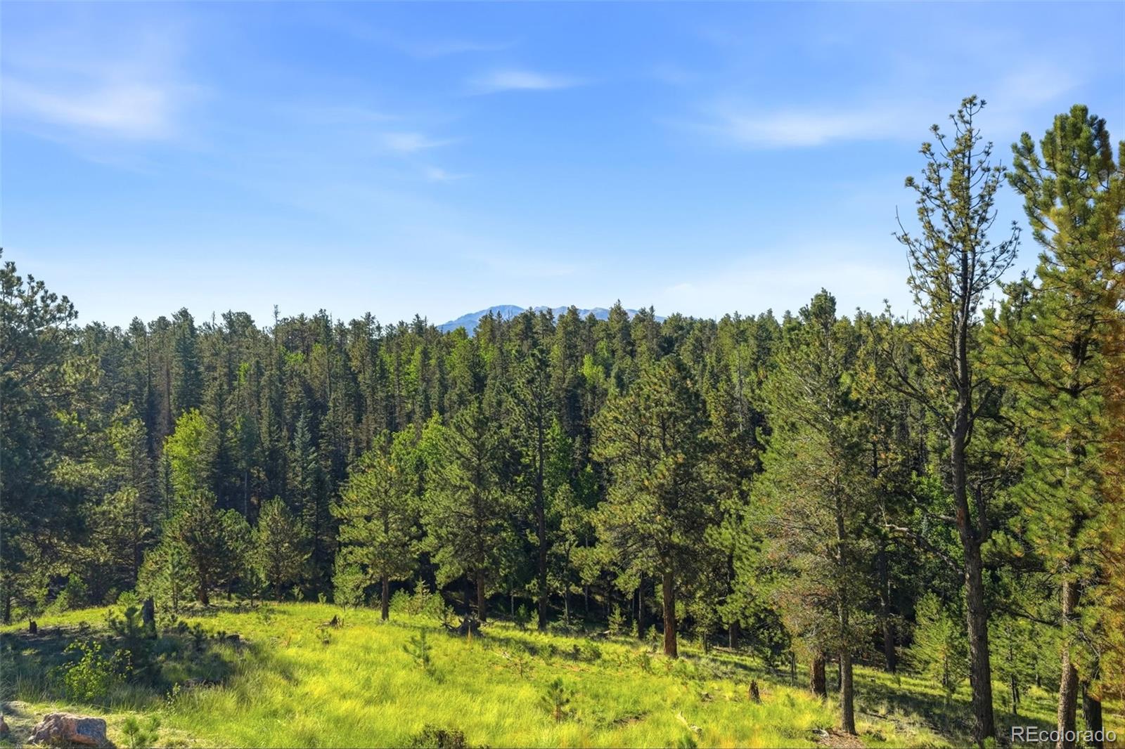 MLS Image #45 for 1509  county road 25 ,divide, Colorado
