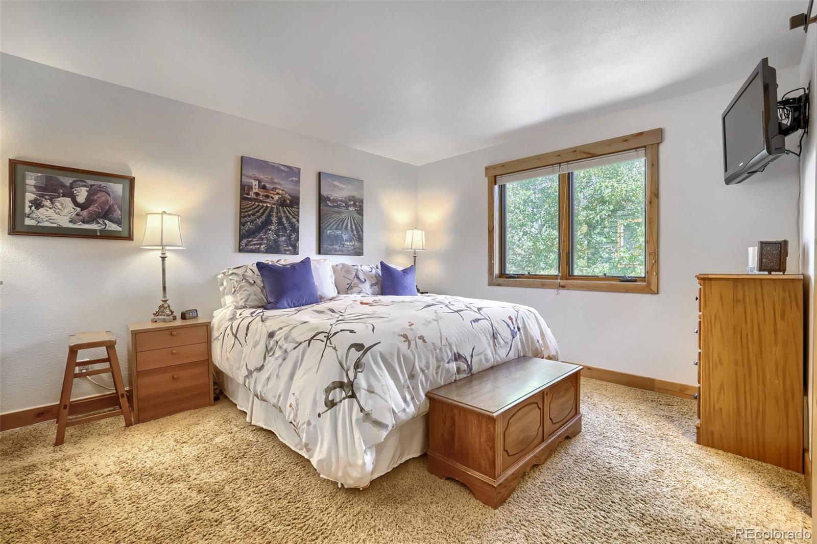 MLS Image #21 for 460 w coyote drive,silverthorne, Colorado