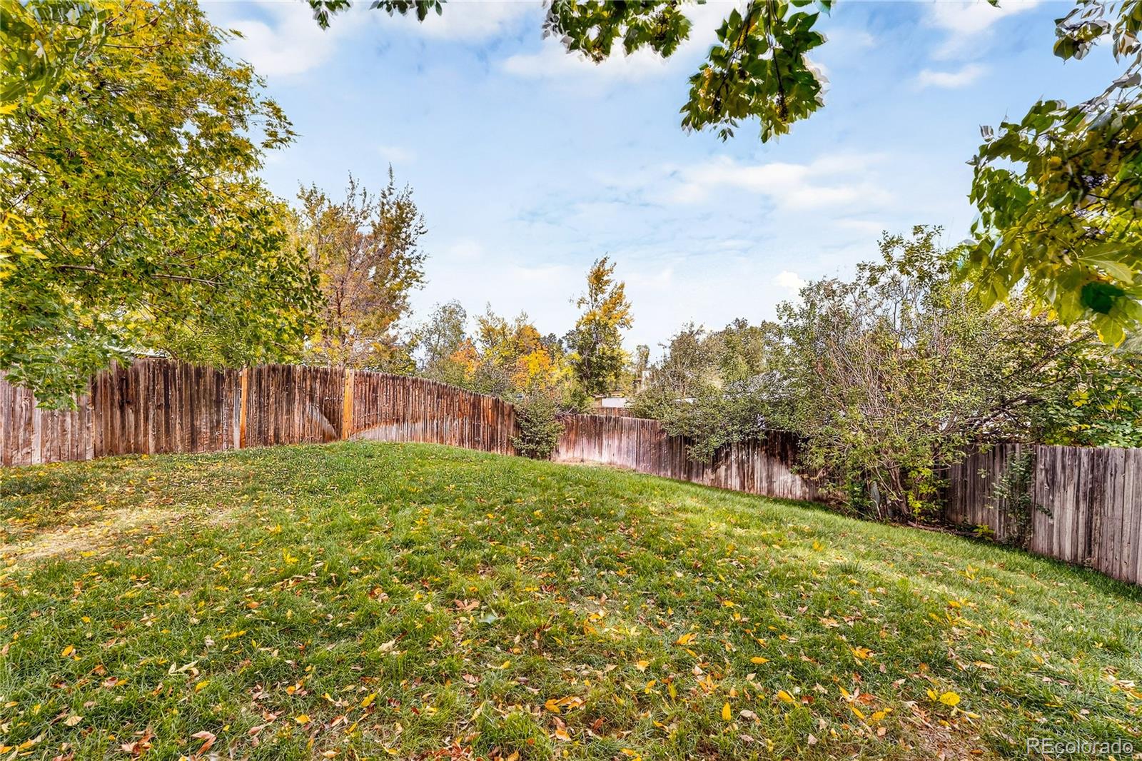 MLS Image #30 for 6542 s field way,littleton, Colorado