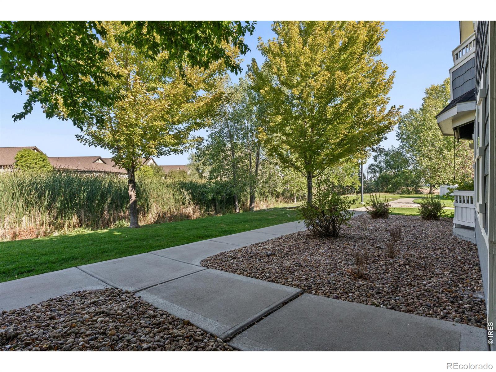 MLS Image #7 for 2176  cape hatteras drive,windsor, Colorado