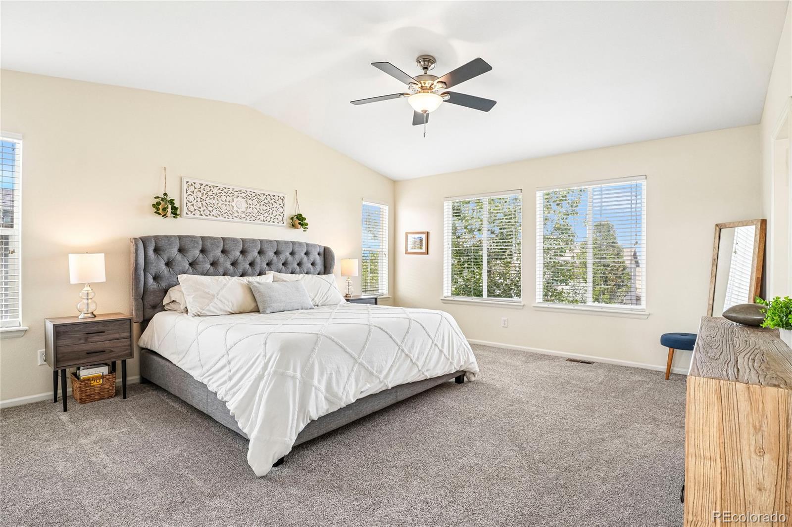 MLS Image #13 for 1297  single tree lane,erie, Colorado