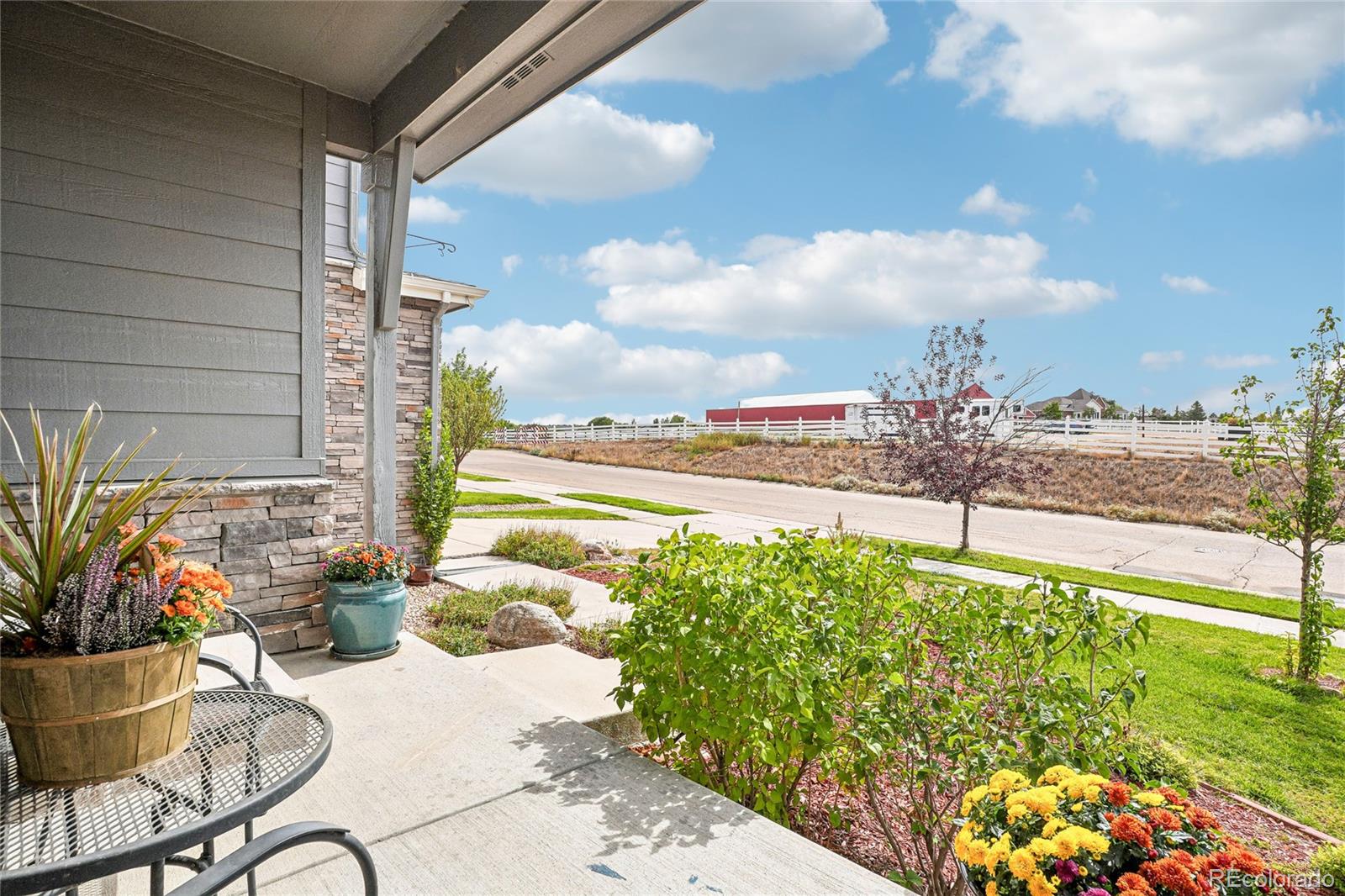 MLS Image #3 for 1297  single tree lane,erie, Colorado