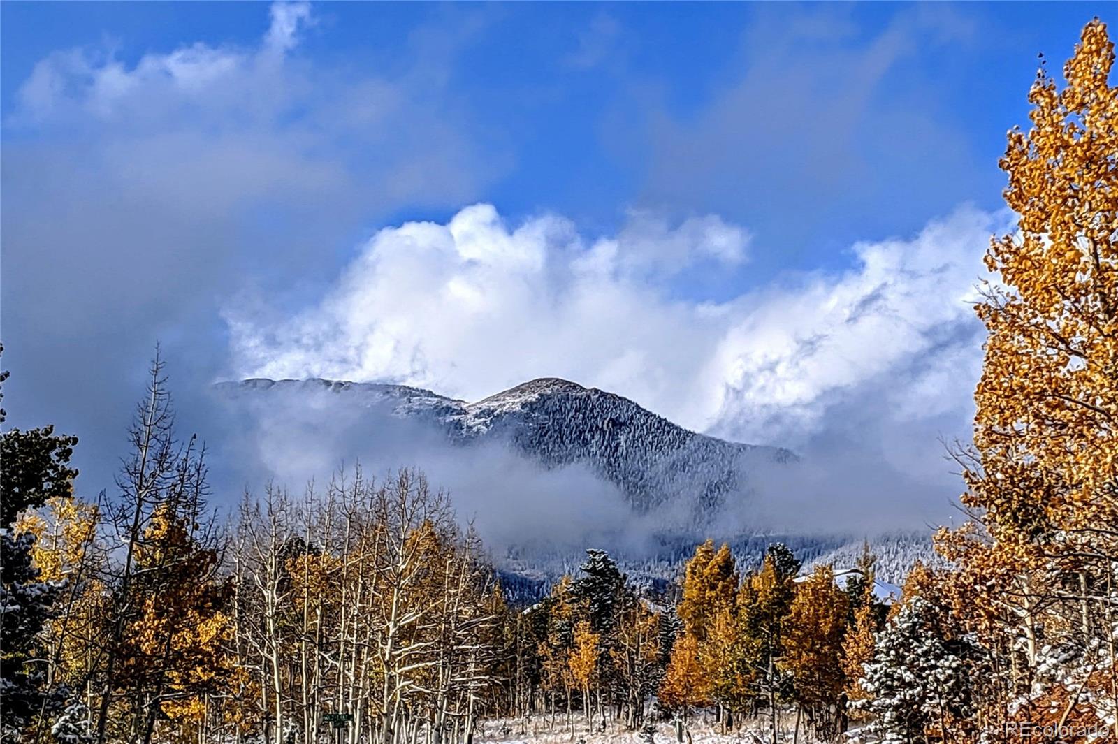 MLS Image #26 for 784  mockingbird trail,bailey, Colorado