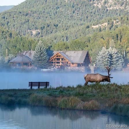 MLS Image #27 for 784  mockingbird trail,bailey, Colorado