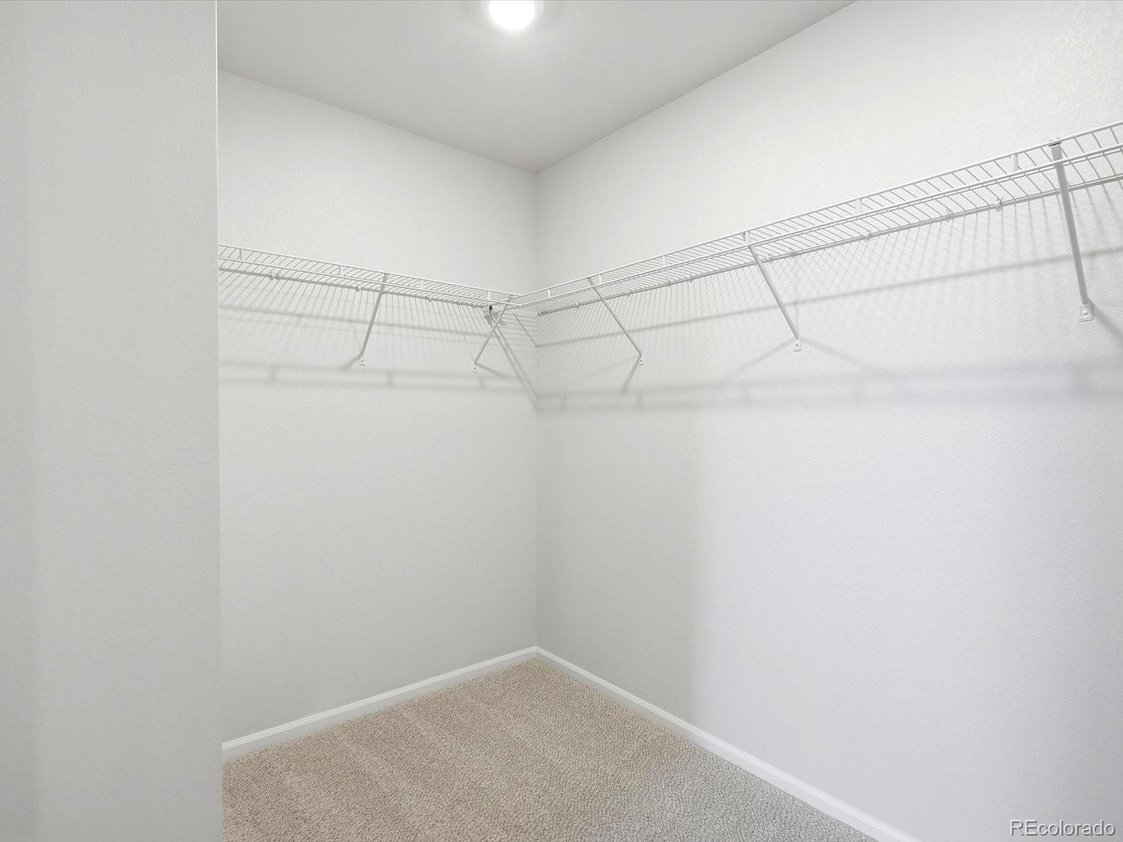MLS Image #19 for 4721  talley street,morrison, Colorado