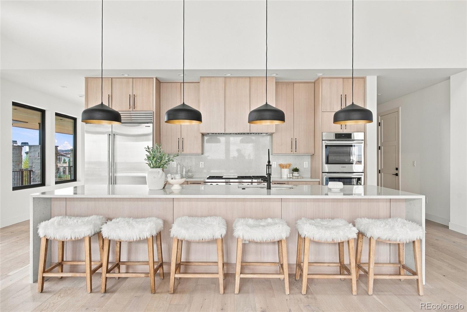 MLS Image #13 for 11357  birolli place,littleton, Colorado