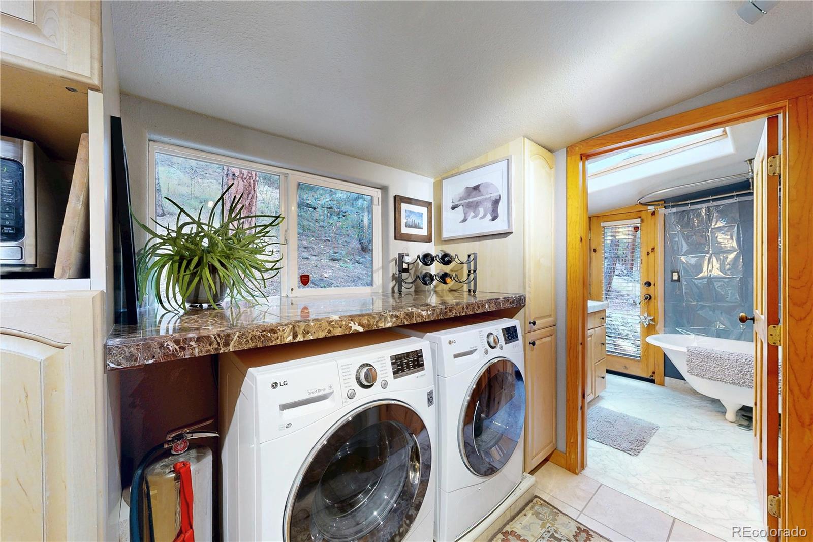 MLS Image #10 for 3010  kerr gulch road,evergreen, Colorado