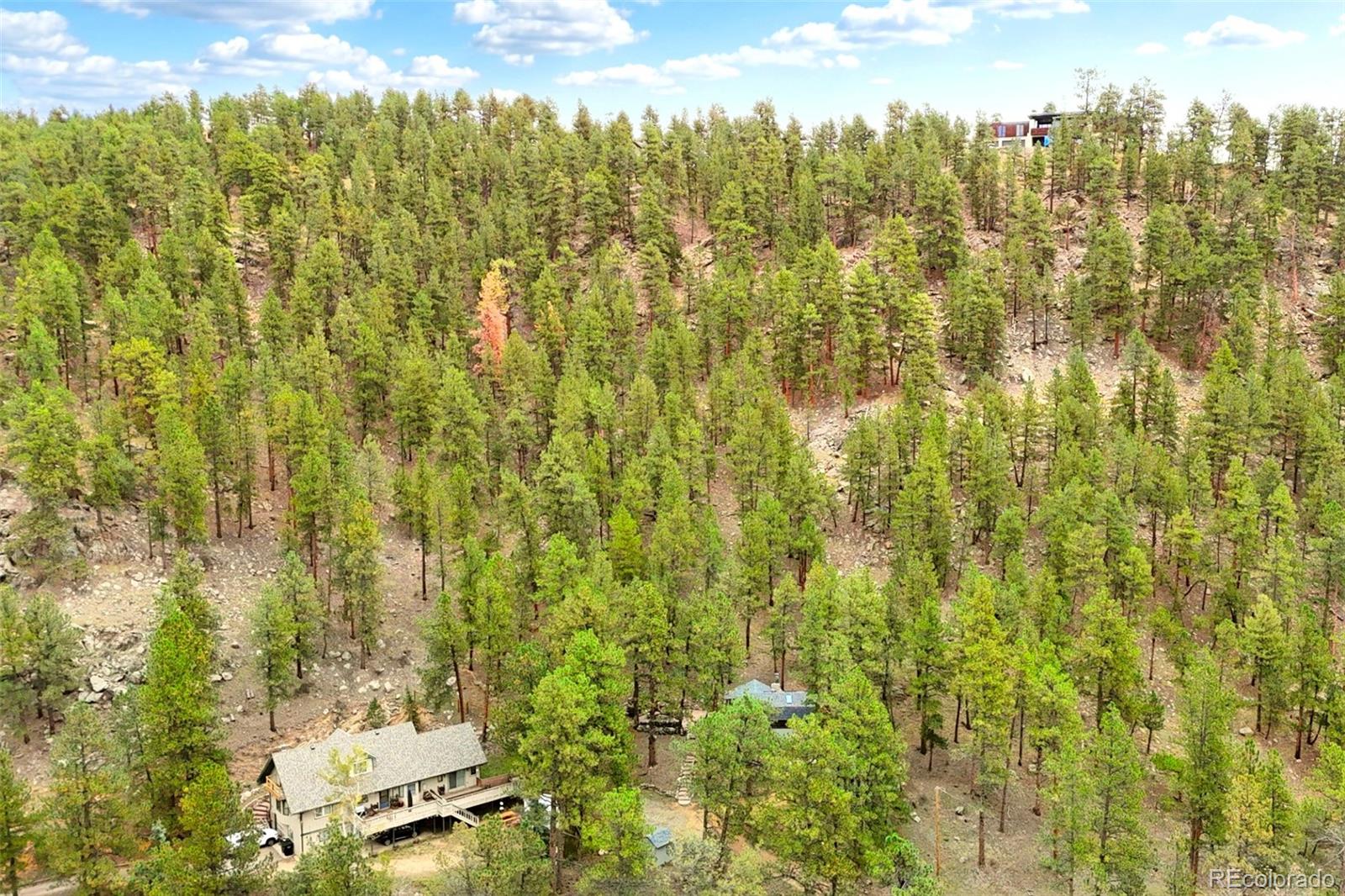 MLS Image #36 for 3010  kerr gulch road,evergreen, Colorado