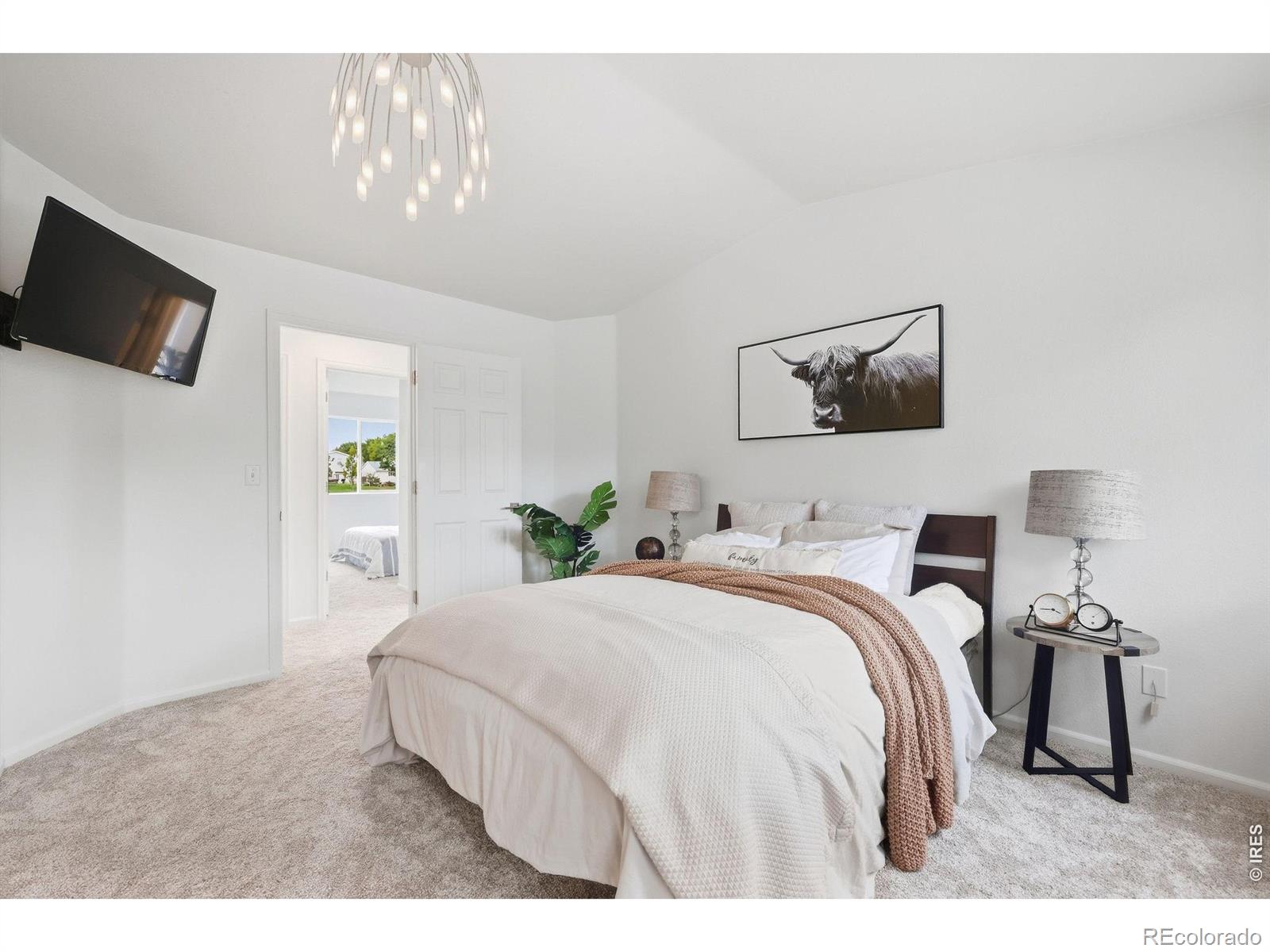 MLS Image #11 for 1001  wolf creek drive,longmont, Colorado