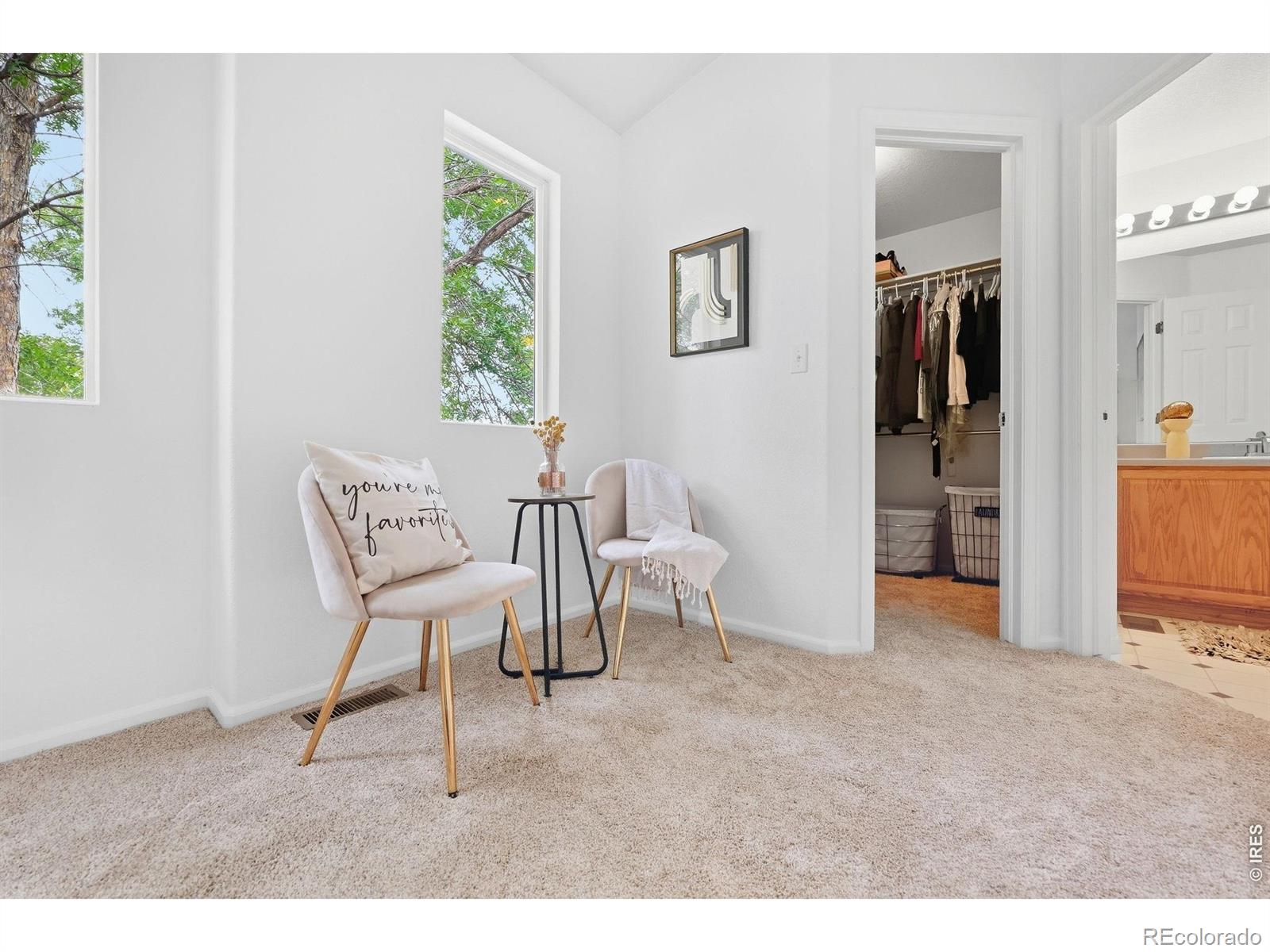 MLS Image #12 for 1001  wolf creek drive,longmont, Colorado