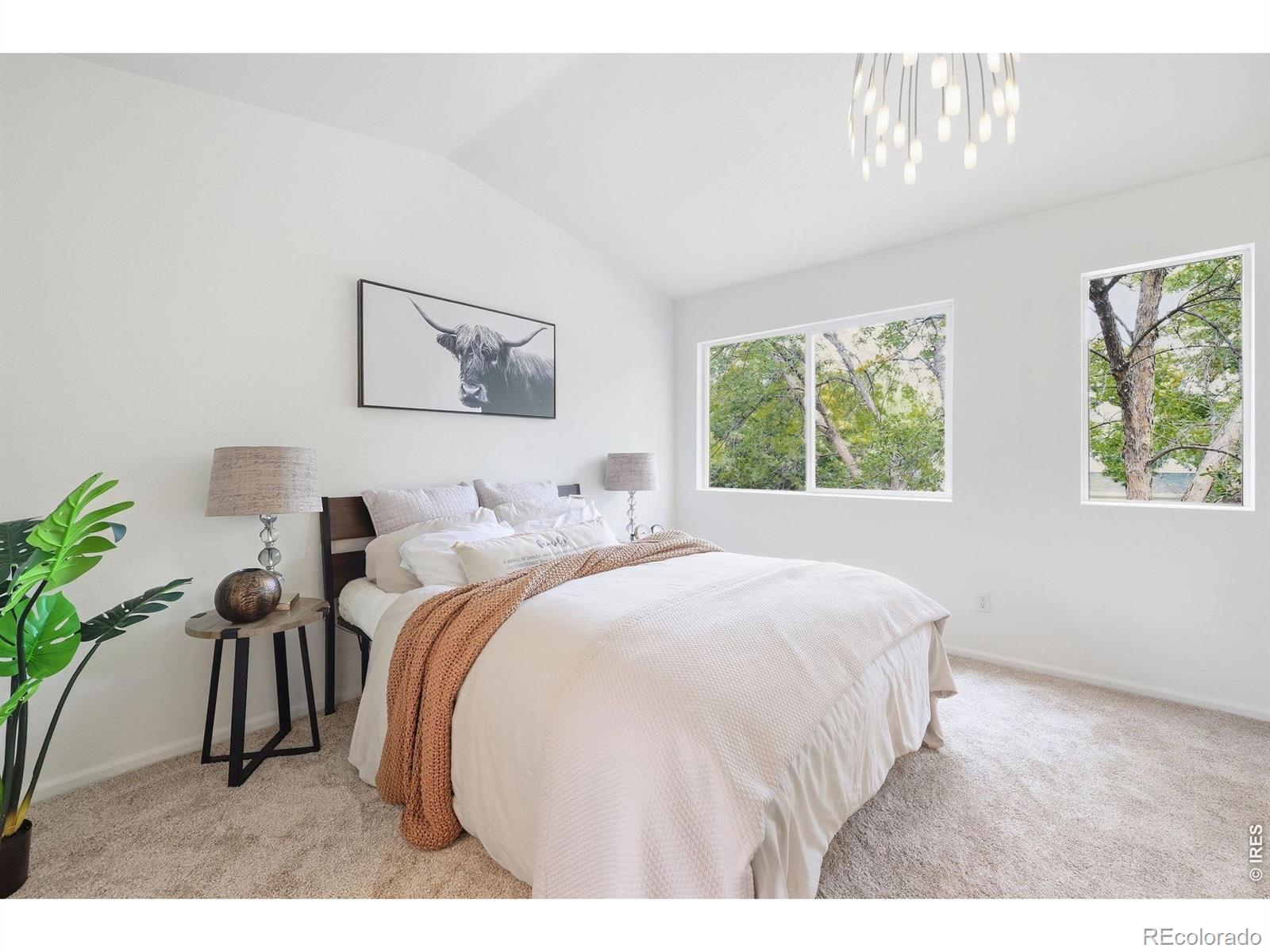 MLS Image #4 for 1001  wolf creek drive,longmont, Colorado