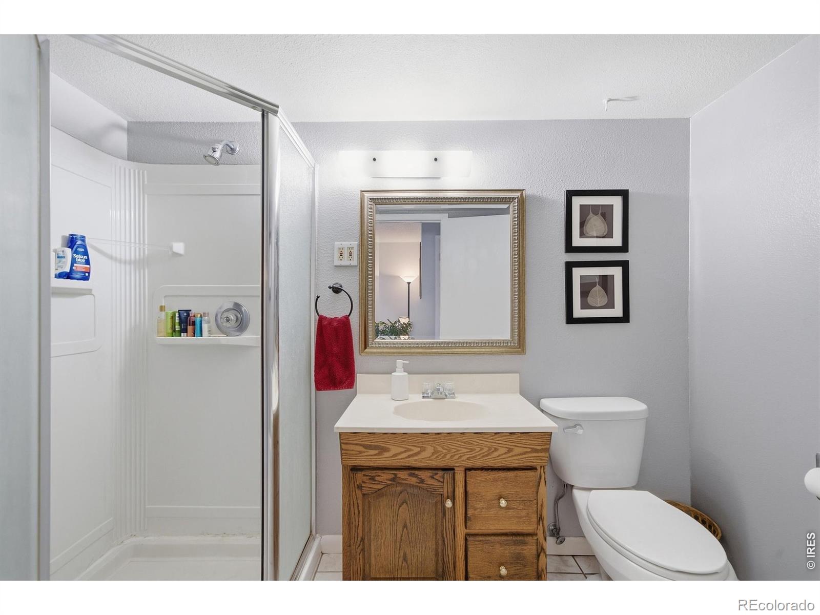 MLS Image #12 for 306  sundance circle,fort collins, Colorado